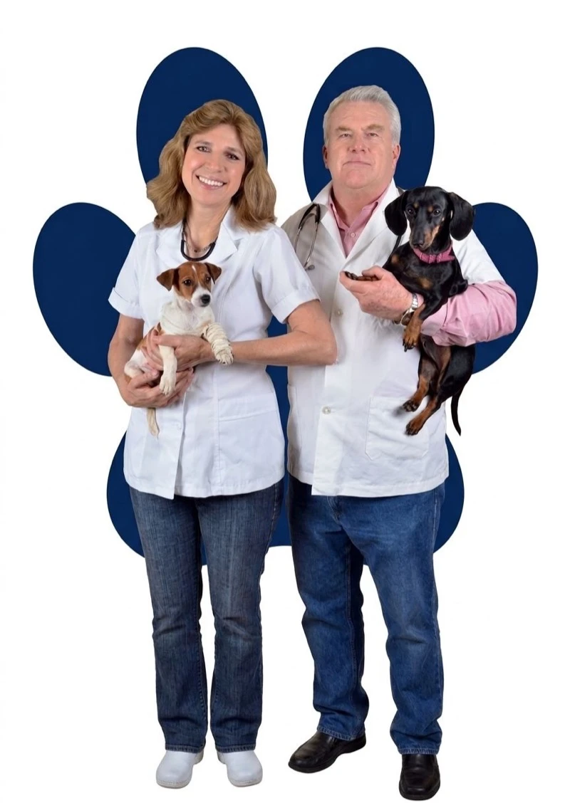 Directores de Veterinaria San Francisco